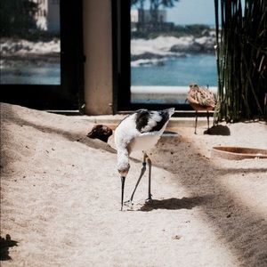 Meet your Posher, Wyatt